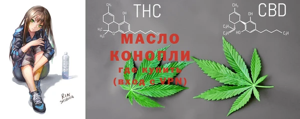 индика Приозерск