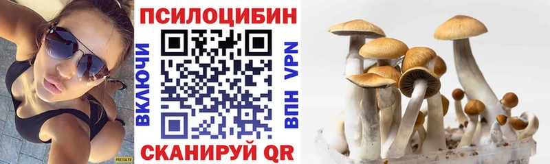 что такое   Саранск  Галлюциногенные грибы Cubensis 