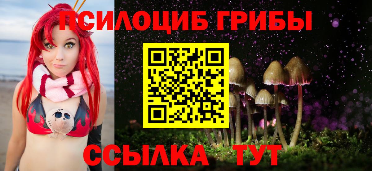 Саранск  Галлюциногенные грибы MAGIC MUSHROOMS  Вход с VPN 